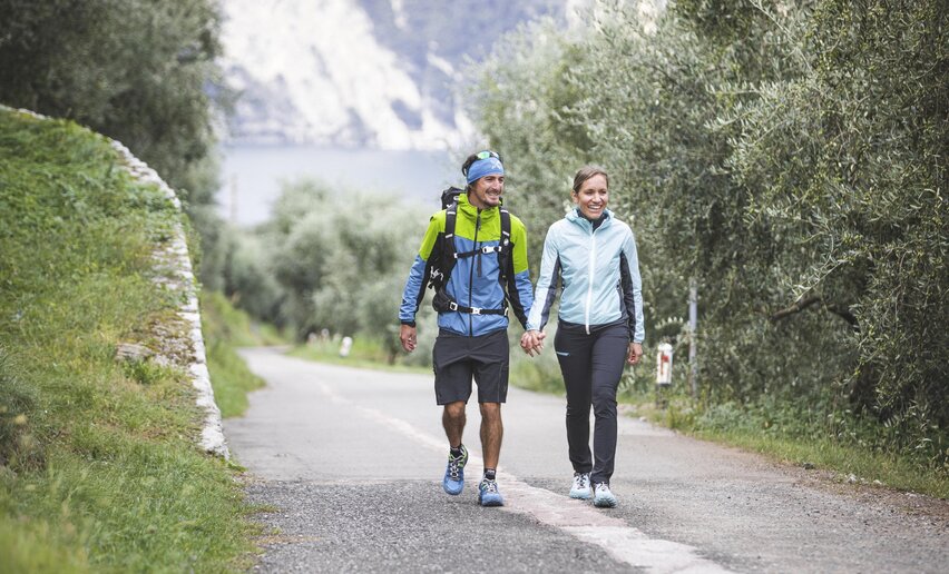 Immagine per percorso Nell'Olivaia del Brione