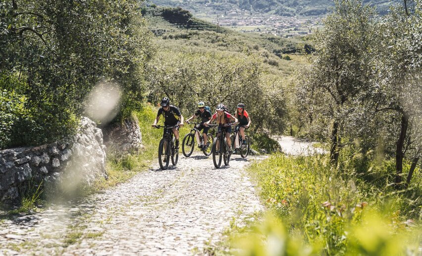 Immagine per percorso Garda Dolomiti Tour