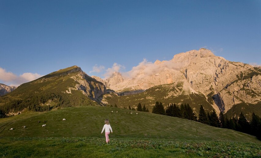 Immagine per percorso Malga Movlina e il Rifugio XII Apostoli