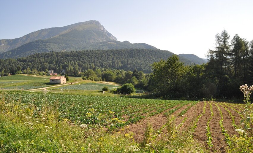 Immagine per percorso Monte Creino