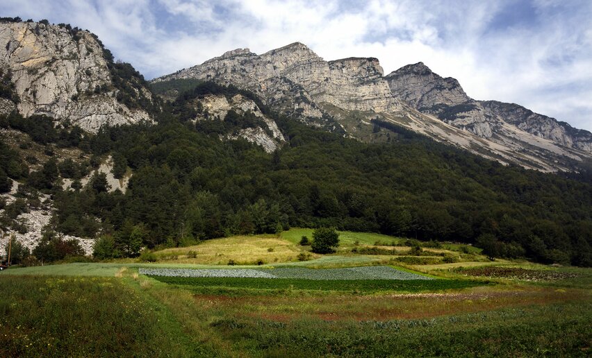 Immagine per percorso Salita al Monte Stivo