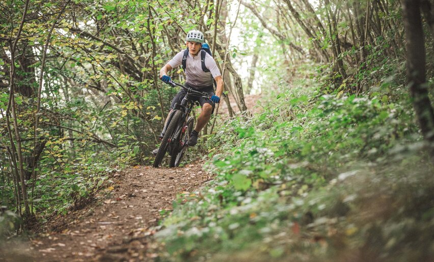 Immagine per percorso Variante Maso Naranch Trail