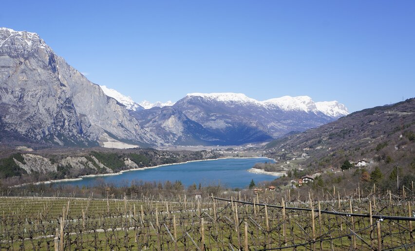 Immagine per percorso Passo S. Uldarico (Cross Country)