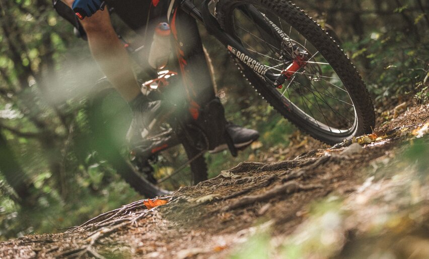 Immagine per percorso Variante Rancion - Trail