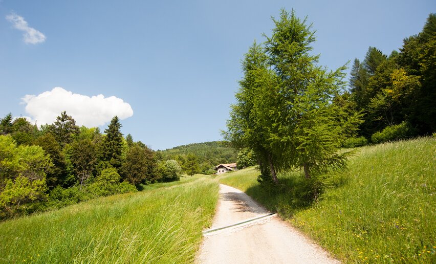 Immagine per percorso Variante San Giovanni