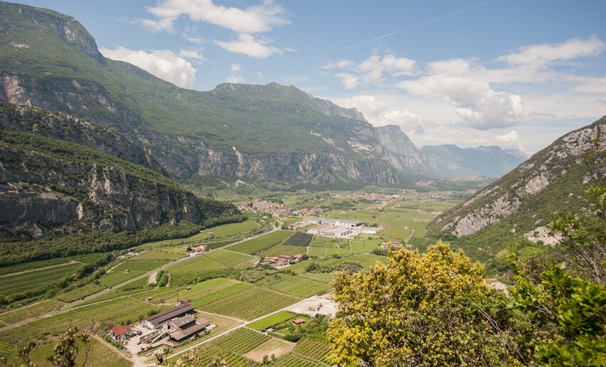Immagine per percorso Il 