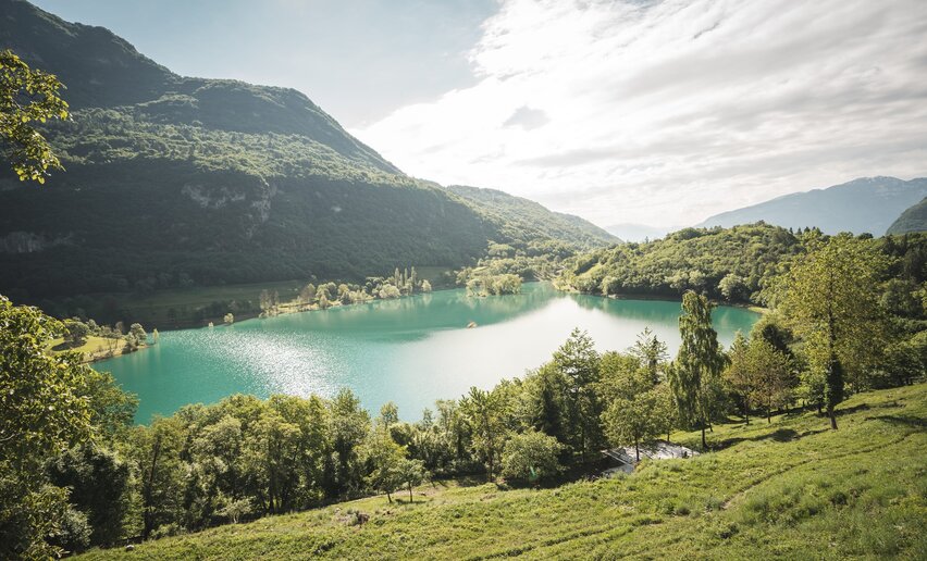 Immagine per percorso GardaTrek - Anello Superiore 2: discesa verso il Lago di Tenno