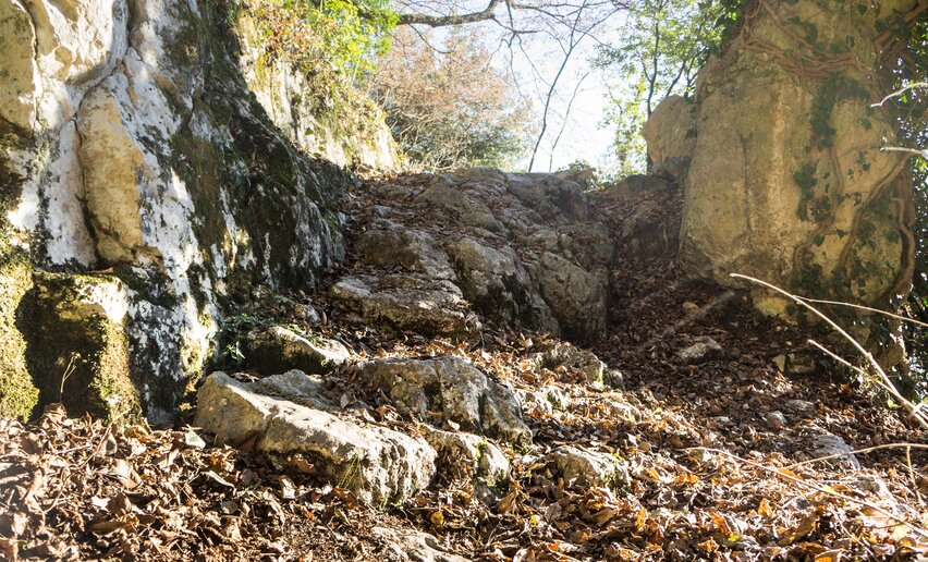 Immagine per percorso Variante Piazzole - Trail