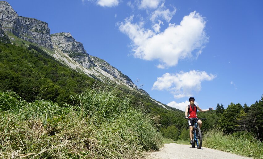 Immagine per percorso Monte Biaena Trail-Tour