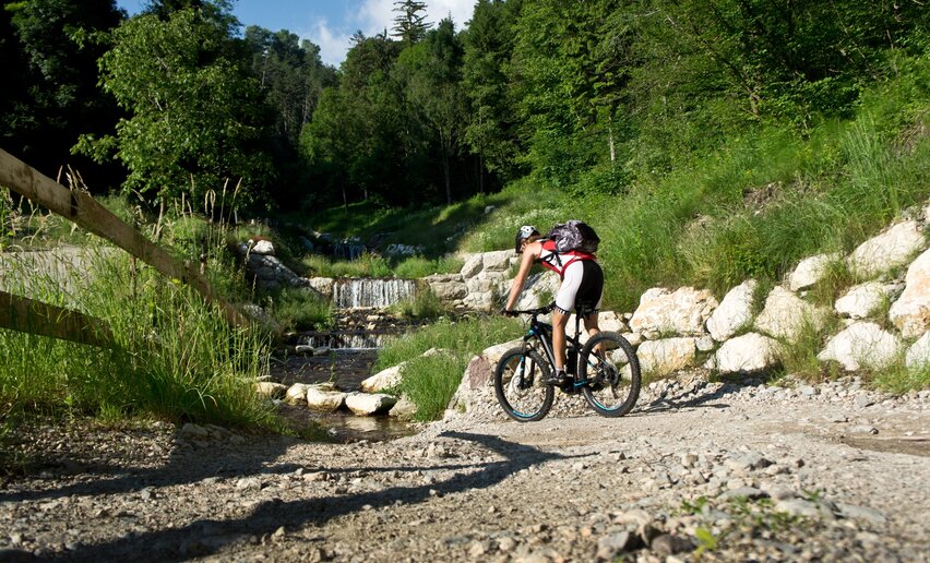 Immagine per percorso Passo Bordala Trail-Tour