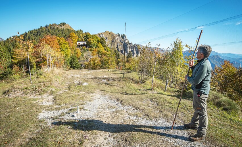 Immagine per percorso Variante Caset Rinalt - Trail