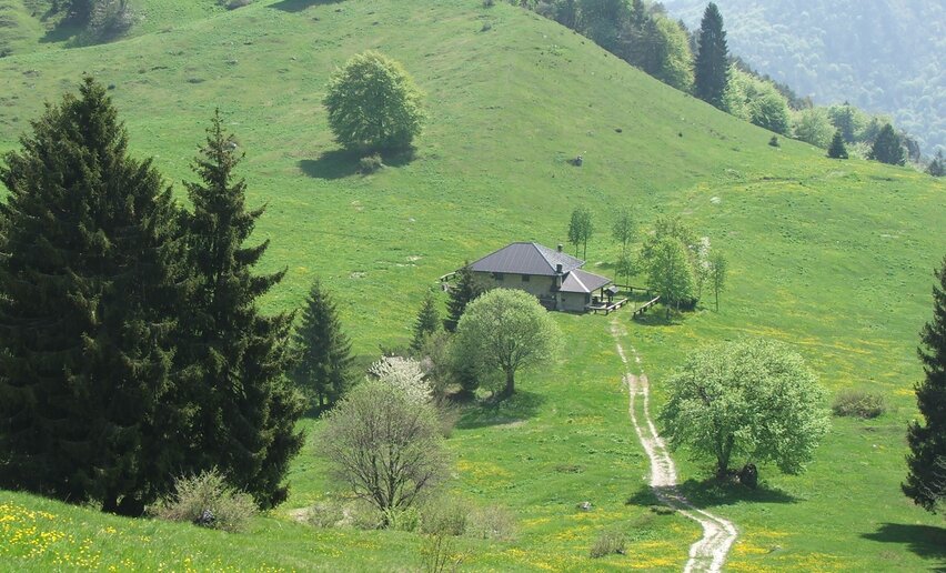 Immagine per percorso Malga Giù - San Martino
